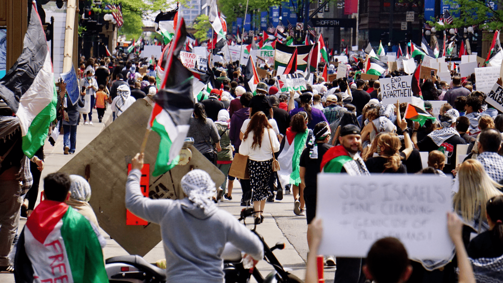 free Palestine protesters 