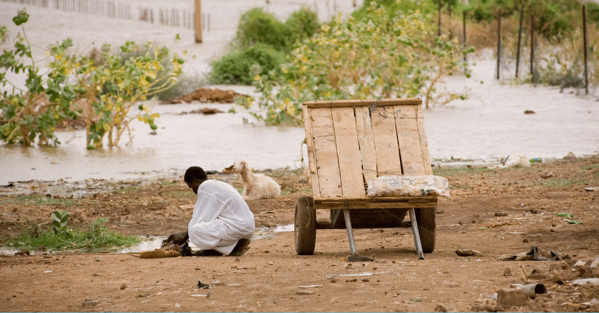 A photo of a Sudanese refugee sitting on the road in a white shirt. He is facing away from the camera, with a wooden cart next to him.